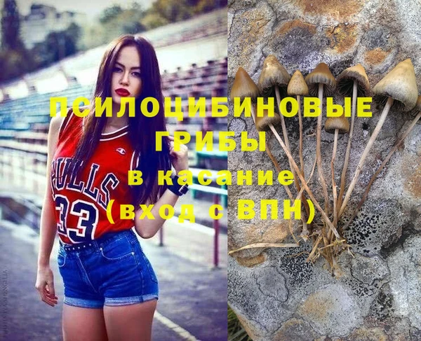 apvp Алексеевка