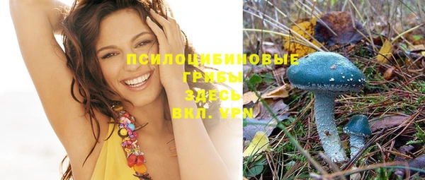 СК Березники